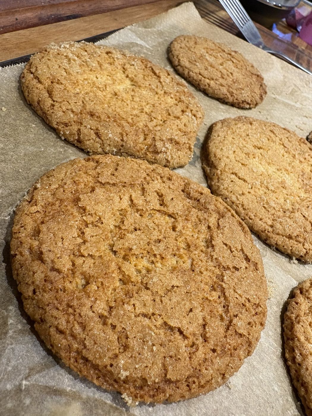 Classic golden sugar cookies fresh from the oven on baking paper